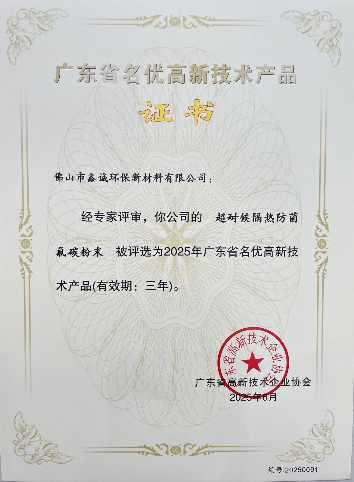 Registered Patent Certificate 01