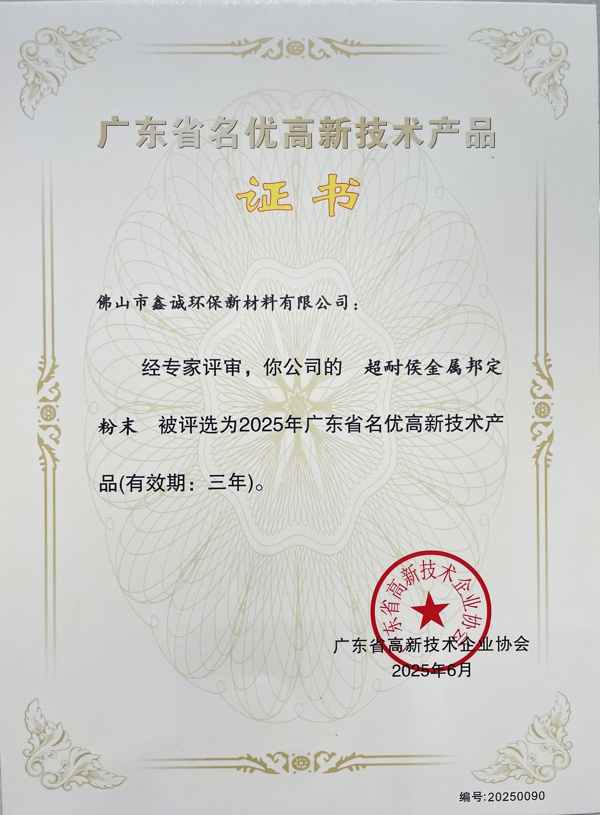Registered Patent Certificate 03